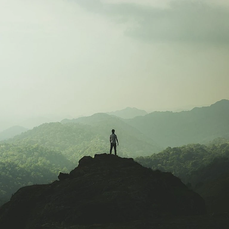 Optimiser votre stratégie numérique avec des conseils avisés