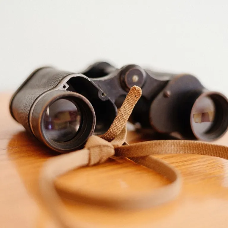 Le rôle essentiel de la vendeuse conseillère dans la stratégie marketing