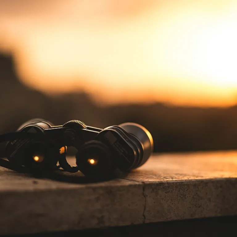 Exemple de mail pour prospection : modèles concrets et conseils pour obtenir des réponses